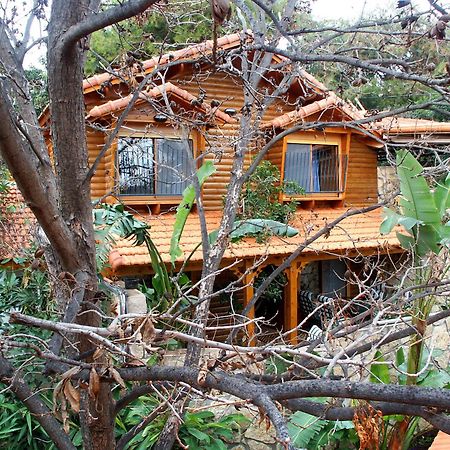 Ohn-Bar Guesthouse Amirim Exterior photo
