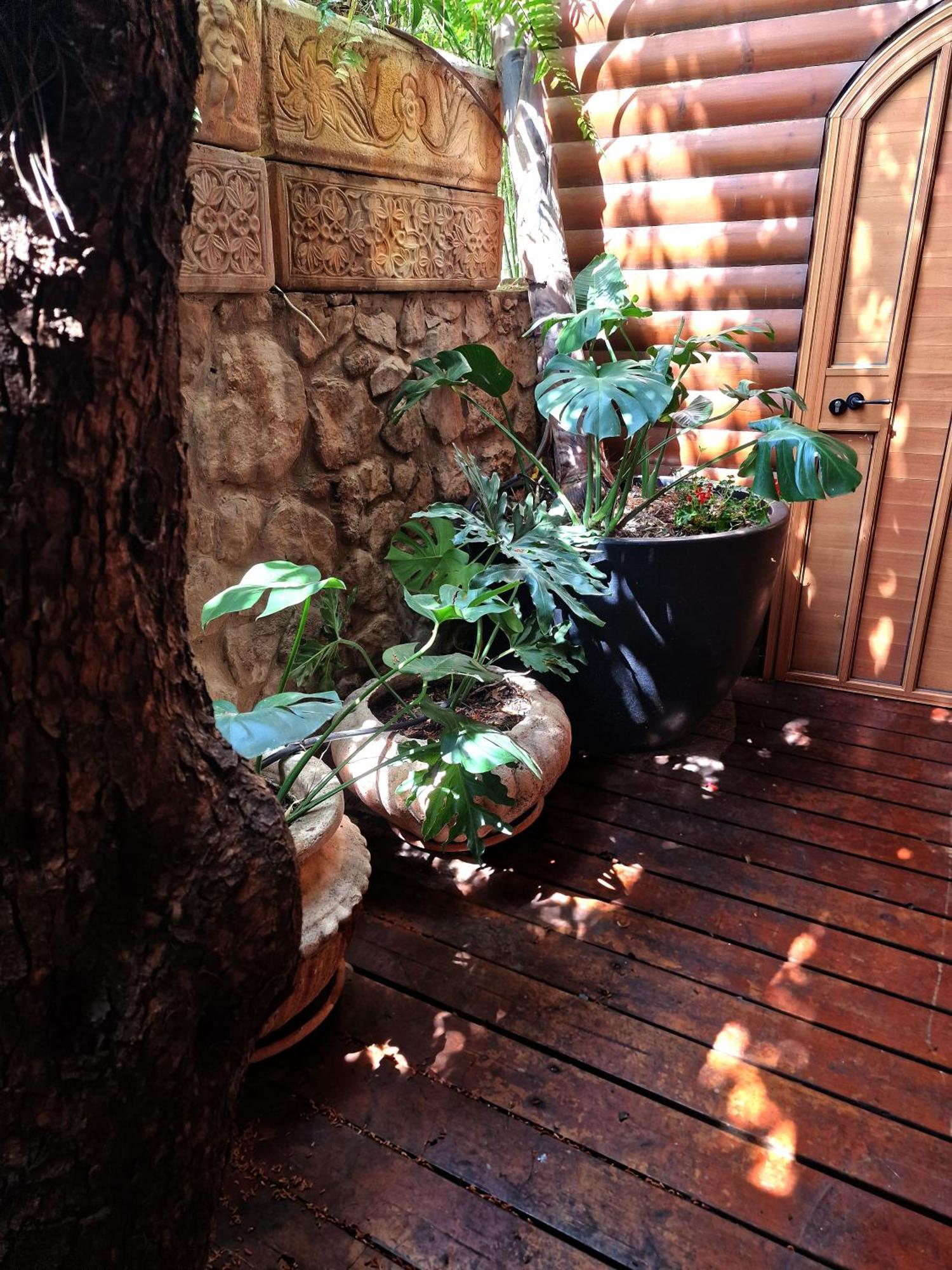 Ohn-Bar Guesthouse Amirim Exterior photo